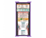 WhiteCoat Clipboard® Trifold - Lilac Physical Therapy Edition